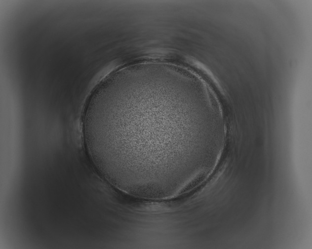 X0000102791362200808251020