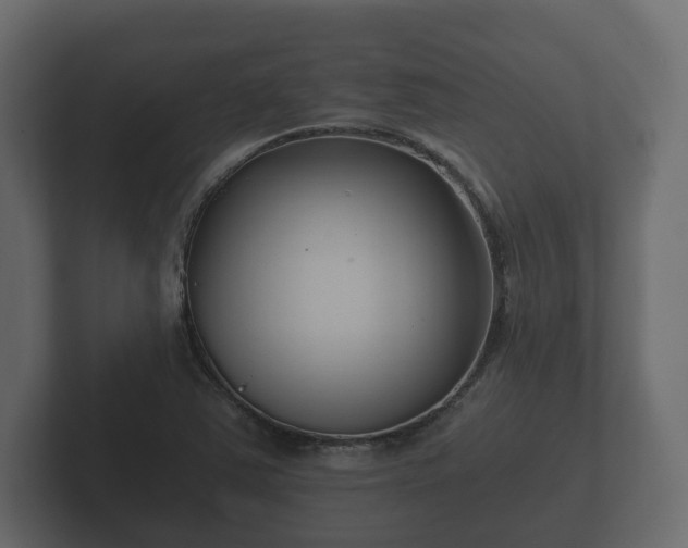 X0000102791363200808251020
