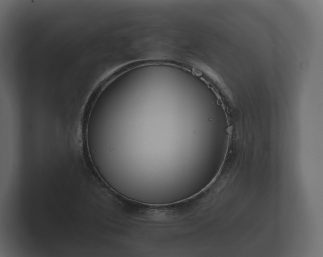 X0000102791364200808251020