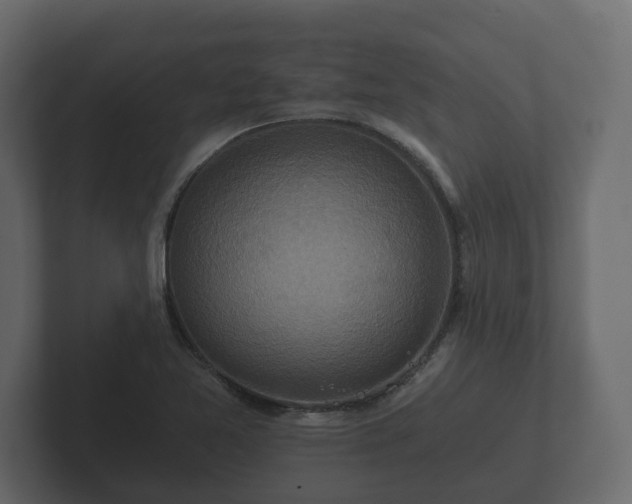 X0000102791365200808251020