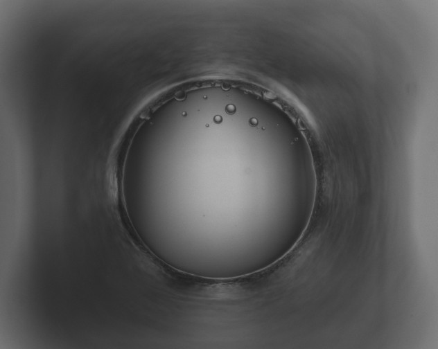 X0000102791368200808251020