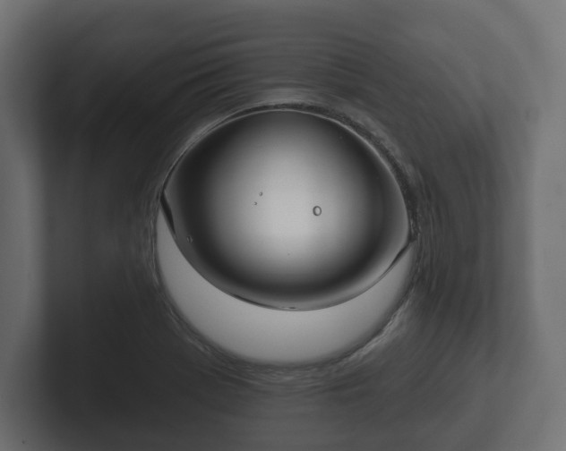 X0000102791369200808251020