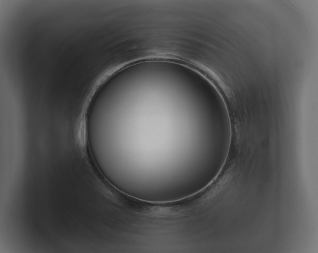 X0000102791371200808251020