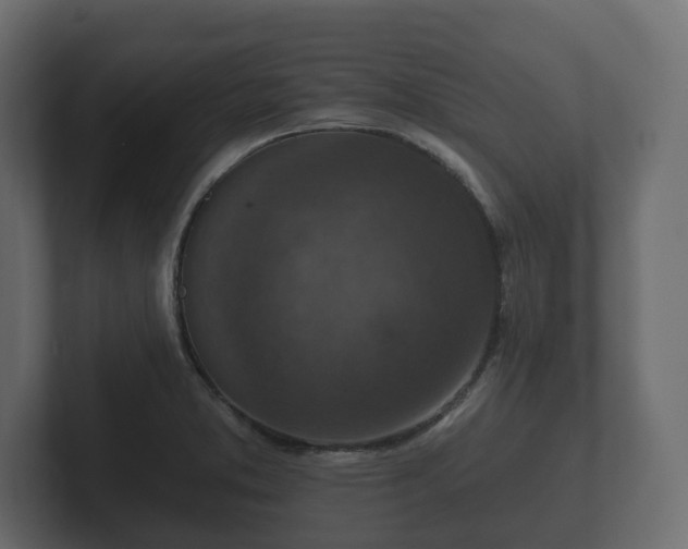 X0000102791373200808251020