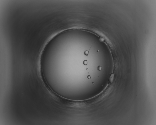 X0000102791375200808251020