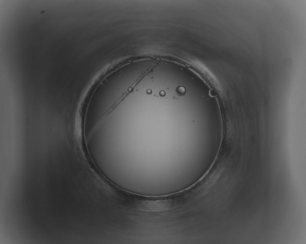 X0000102791376200808251020
