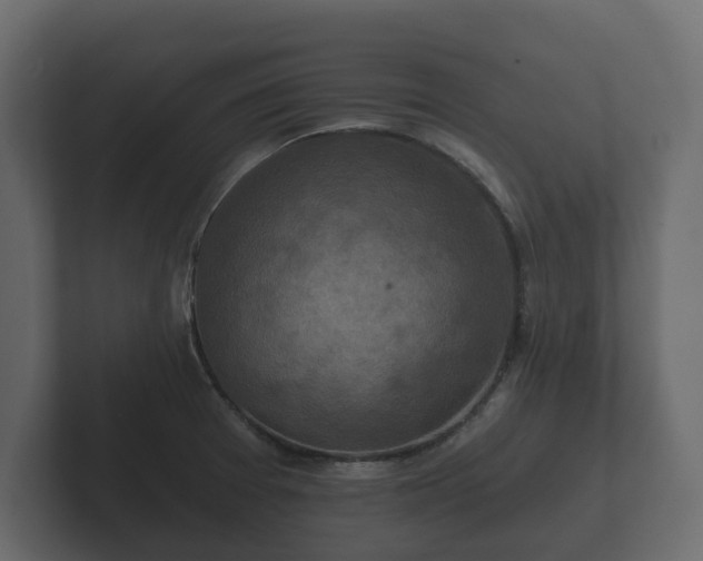 X0000102791377200808251020
