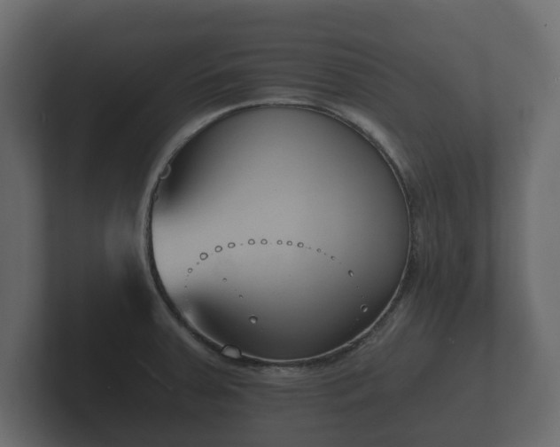 X0000102791379200808251020