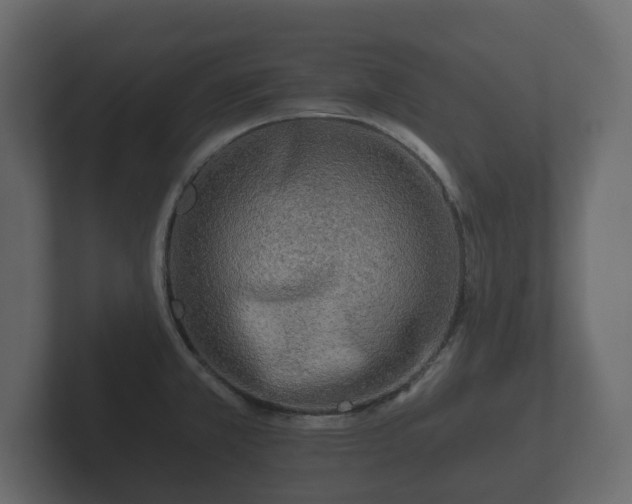 X0000102791381200808251020