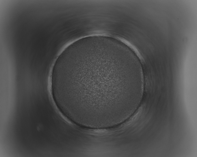 X0000102791383200808251020