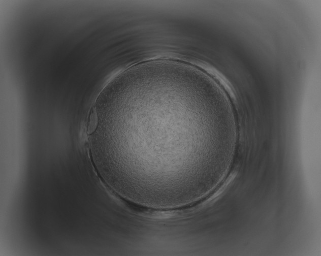 X0000102791385200808251019