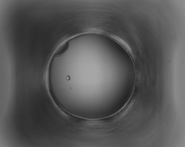 X0000102791391200808251019