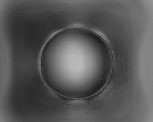 X0000102791392200808251019