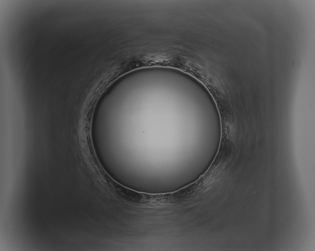 X0000102791393200808251019