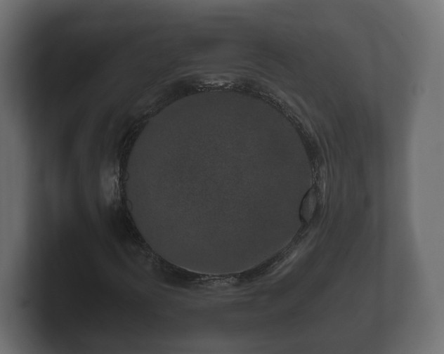 X0000102791394200808251019