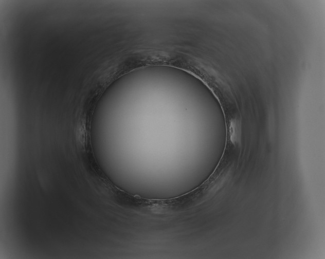 X0000102791395200808251019