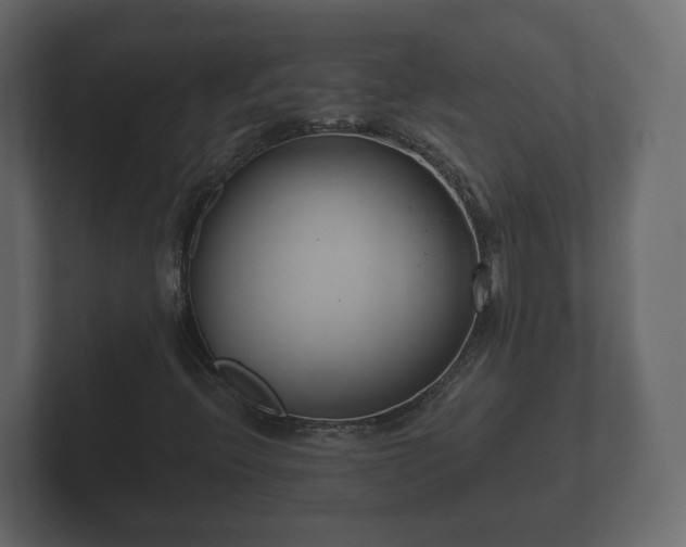 X0000102791396200808251019