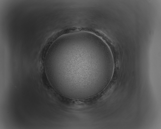 X0000102791398200808251019