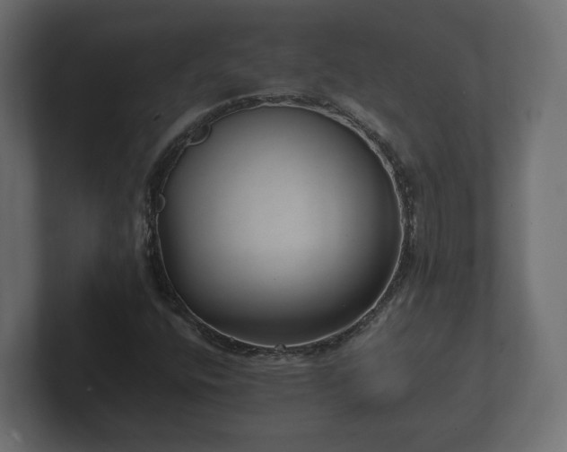 X0000102791400200808251019