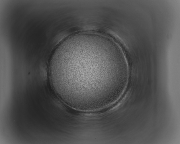 X0000102791401200808251019