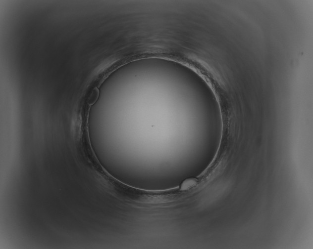 X0000102791402200808251019