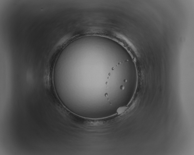 X0000102791403200808251019