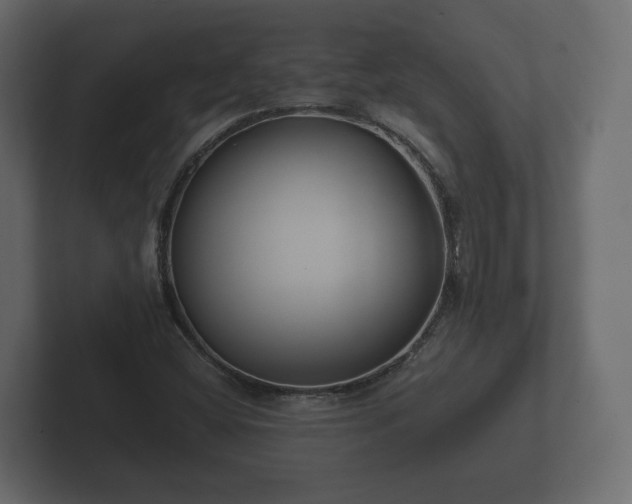 X0000102791404200808251019