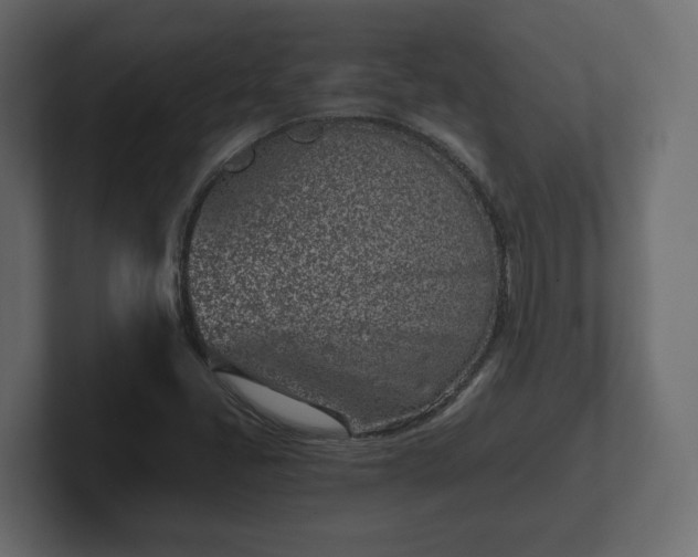 X0000102791405200808251019
