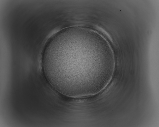 X0000102791411200808251019