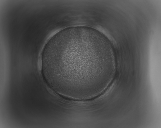 X0000102791413200808251019