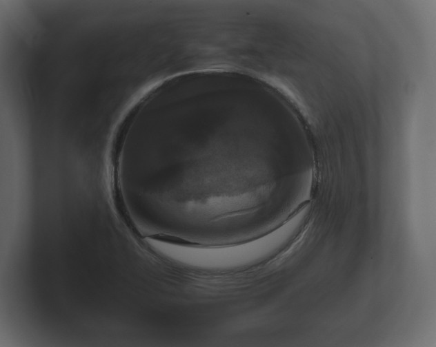 X0000102791414200808251019
