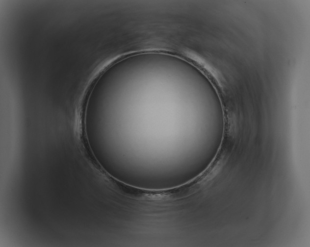 X0000102791415200808251019