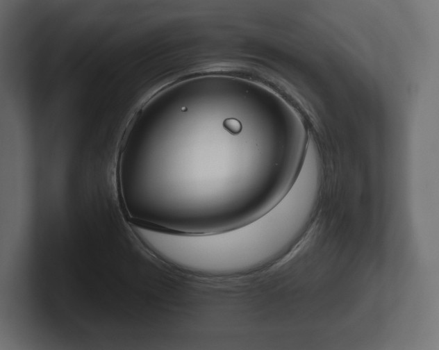 X0000102791417200808251019