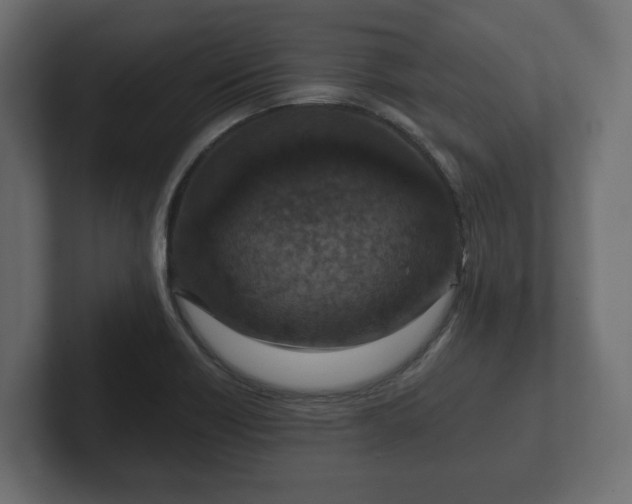 X0000102791418200808251019