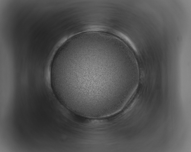 X0000102791419200808251019