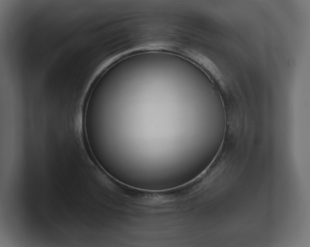 X0000102791420200808251019