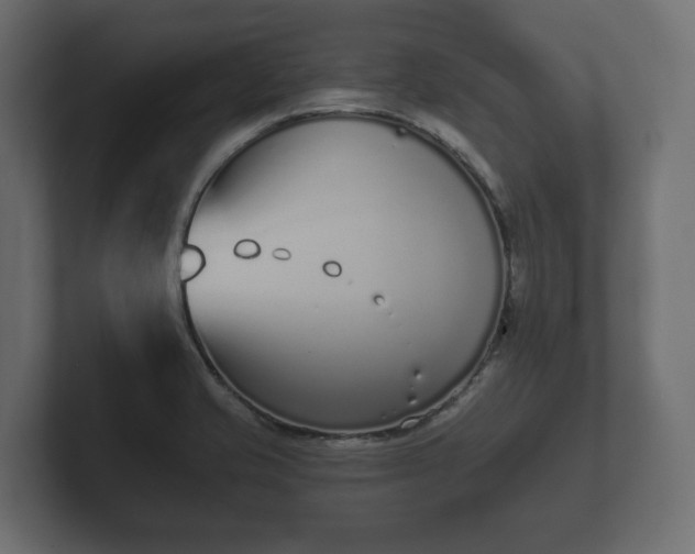 X0000102791421200808251019