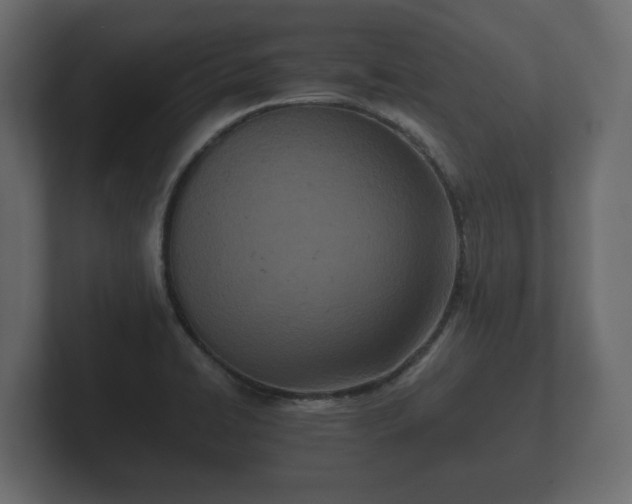 X0000102791422200808251019