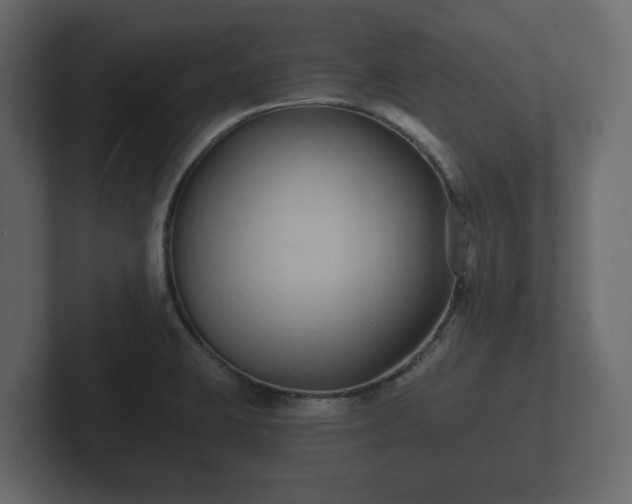 X0000102791423200808251019