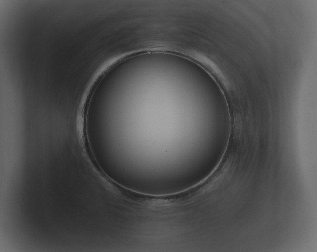 X0000102791424200808251019