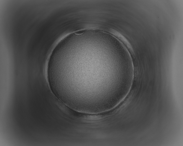 X0000102791427200808251019