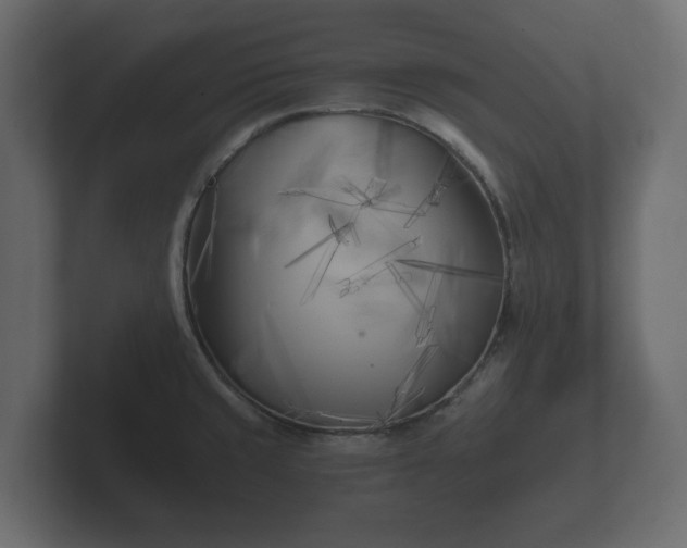 X0000102791429200808251019
