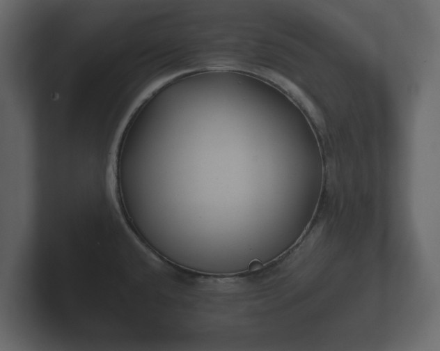 X0000102791432200808251019