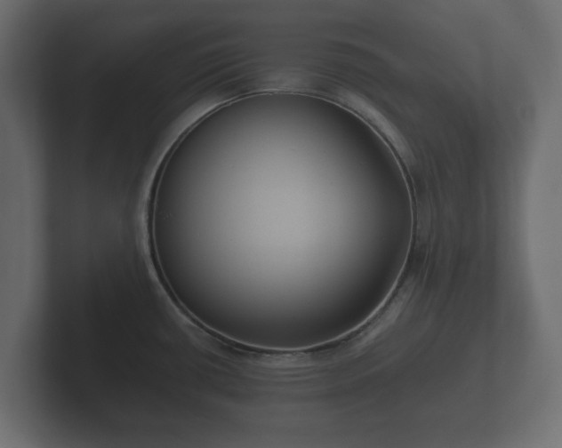 X0000102791434200808251019