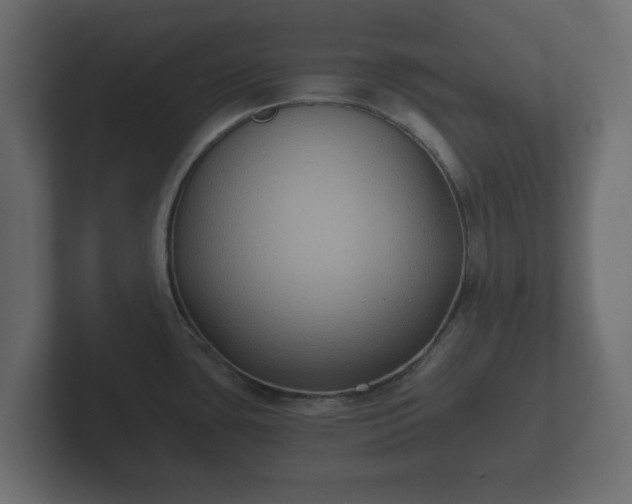 X0000102791435200808251019