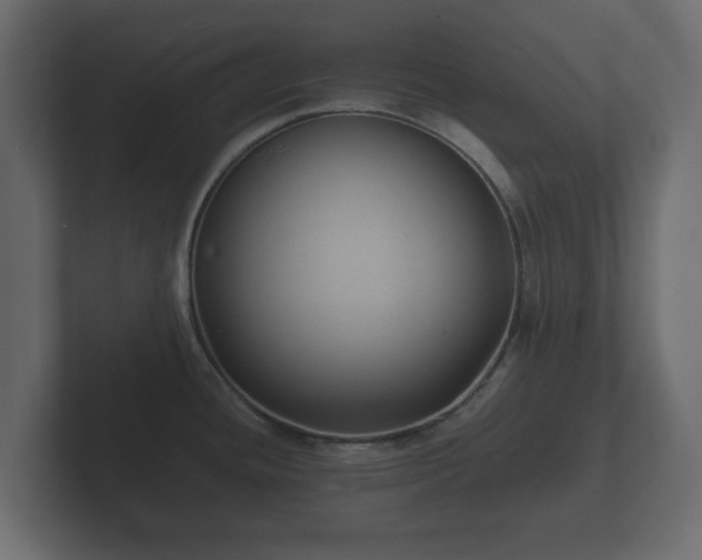 X0000102791436200808251019