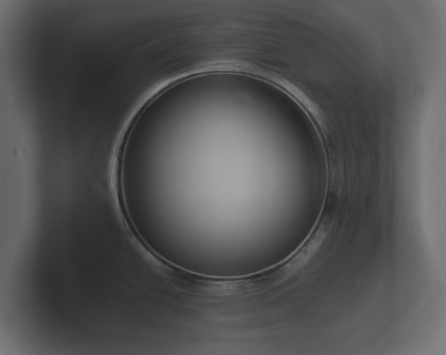 X0000102791438200808251019