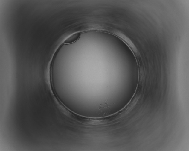 X0000102791439200808251019