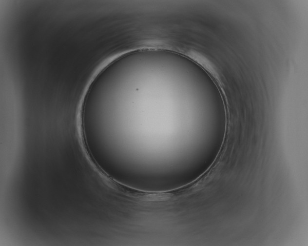 X0000102791440200808251019