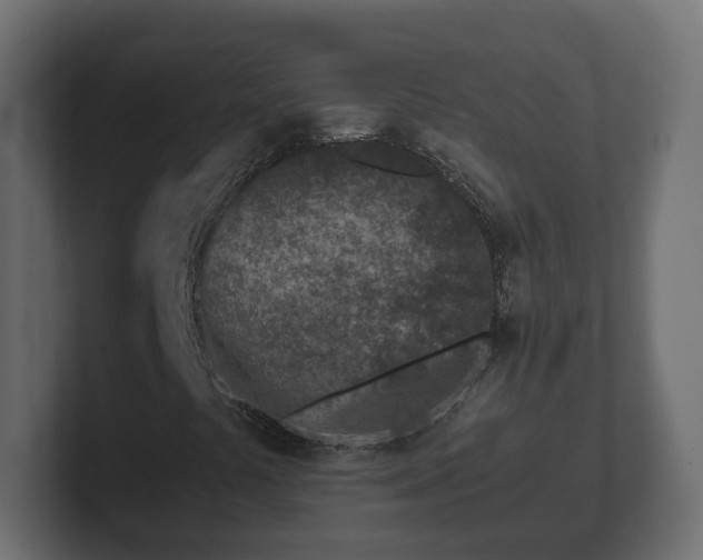 X0000102791441200808251019